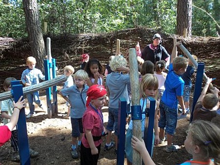 Krokuskriebels in het Klankenbos - Neerpelt