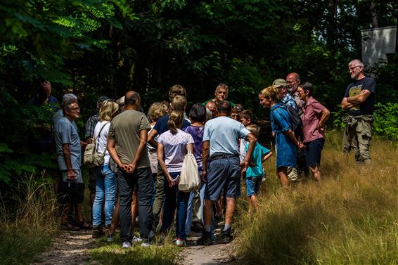 Kruidenwandeling aan de Watersnip - Beringen