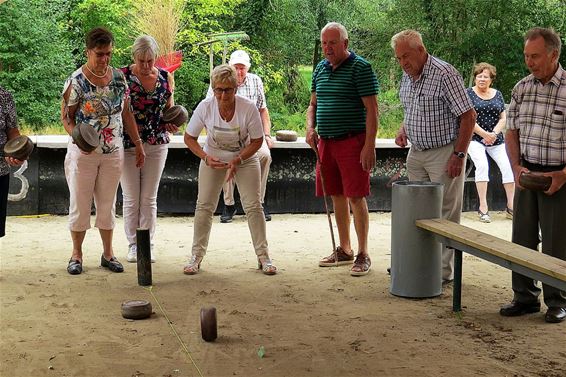 Krulbollen met Samana Grote Heide - Neerpelt