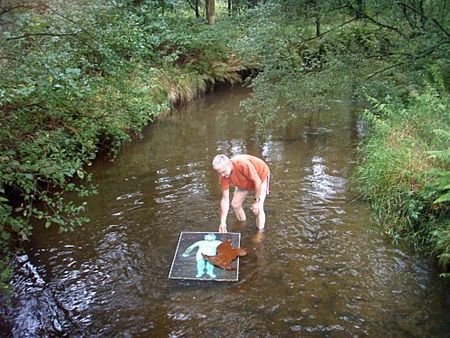 Kunst in de natuur, natuur in de kunst - Neerpelt