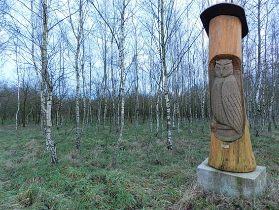 Kunst in de natuur - Lommel