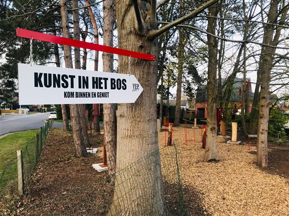 Kunst in het bos met Yep Art - Beringen