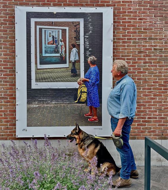 Kunst met een knipoog - Pelt