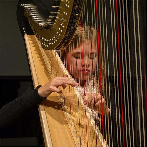 Kunstacademie toonde haar toptalent - Neerpelt