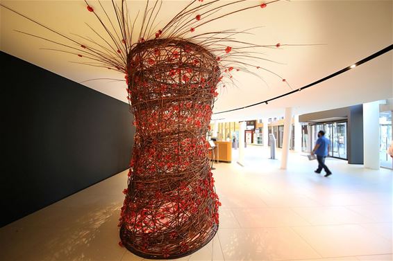 Kunstwerk 'Poppies for Peace' ingehuldigd - Houthalen-Helchteren