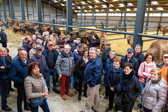 KWB bezoekt unieke kamelenboerderij - Beringen