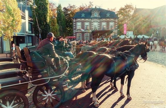 Kwistig met gewijd water... - Pelt