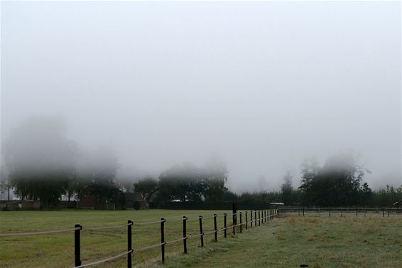 Laaghangende wolken - Neerpelt