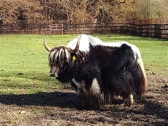 Laat de lente maar komen - Oudsbergen