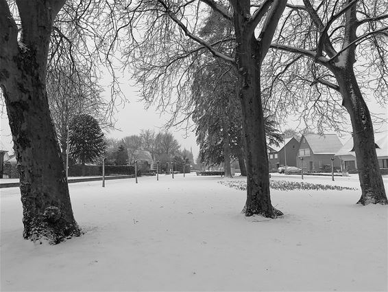 Laat het maar sneeuwen... - Hamont-Achel
