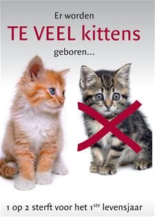 'Laat je kat steriliseren of castreren' - Beringen