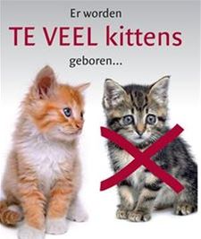 Laat je kat steriliseren