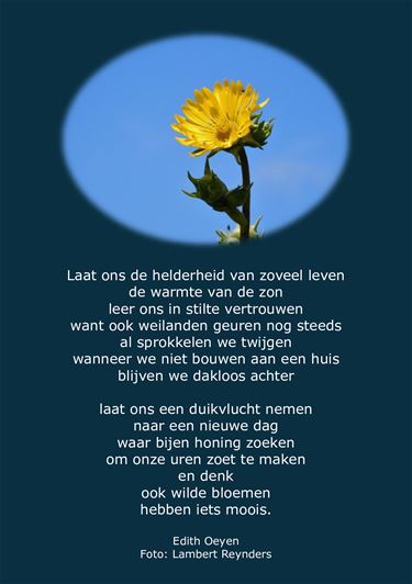 Laat ons de helderheid van zoveel leven - Beringen & Leopoldsburg