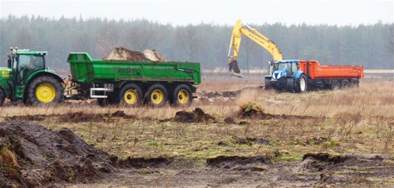 Laatste fase werken heideherstel Blekerheide - Lommel