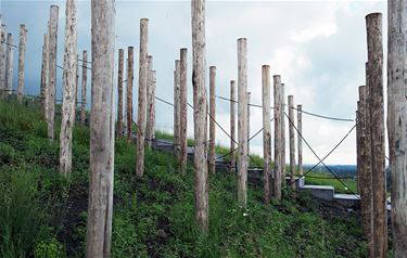 Laatste paal op Avonturenberg geplaatst - Beringen