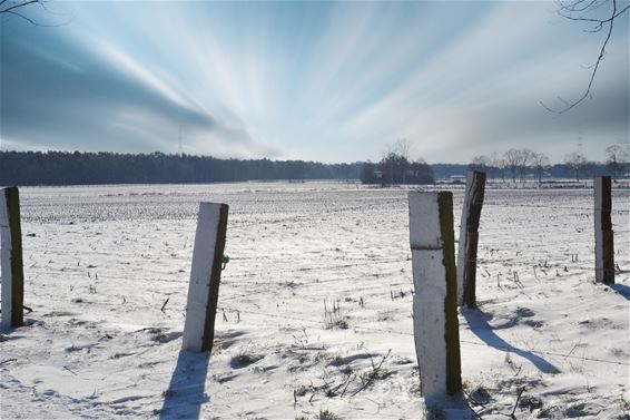 Laatste (?) sneeuwfoto's voor deze winter - Lommel