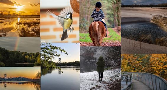 Laatste twee dagen publieksprijs fotowedstrijd - Lommel