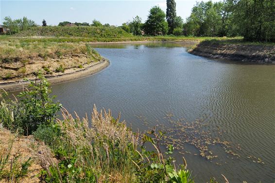 Lage waterstanden in wadi's en beken - Beringen