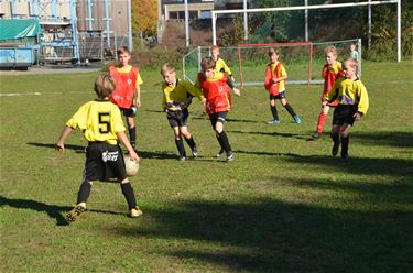 Lagere scholen voetballen erop los - Lommel