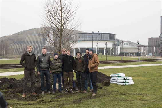 Landboom plant een boom - Beringen