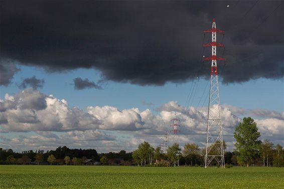 Landschap in april - Neerpelt