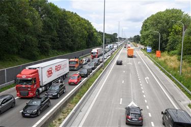 Lange file richting Lummen - Beringen