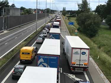 Zeer lange files op E313 richting Antwerpen - Beringen