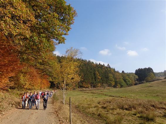 Langs de kratermeren in de Vulkaaneifel - Hamont-Achel