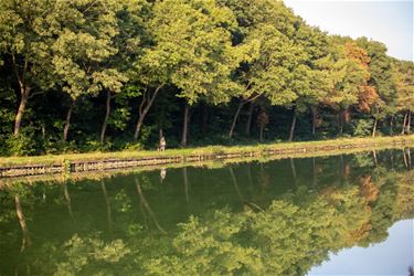 Langs het kanaal in Heide-Heuvel - Lommel