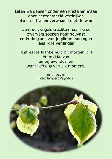Laten we dansen - Beringen & Leopoldsburg