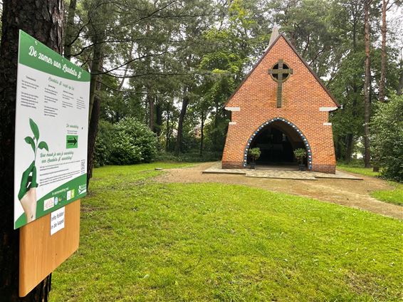 Laudato Si: Wandeling in teken van Moeder Aarde - Beringen