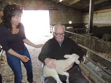 Leefgroep Dolfijn op bezoek bij schapenboerderij - Beringen