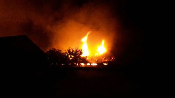 Leegstaande kippenstal uitgebrand - Lommel