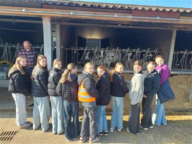 Leerlingen op boerderijbezoek - Peer