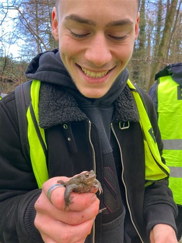 Leerlingen Biotechnicum helpen bij paddenoverzet - Bocholt & Oudsbergen