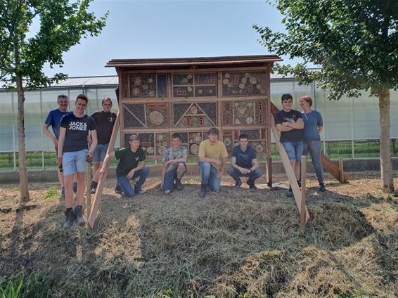 Leerlingen Biotechnicum maken insectenhotel - Bocholt