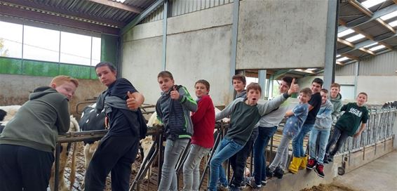 Leerlingen Biotechnicum op boerderijbezoek - Bocholt