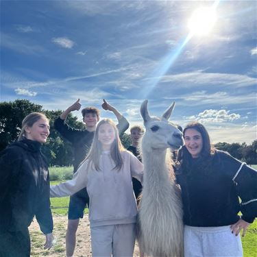Leerlingen leven zich uit op Summercamp - Lommel
