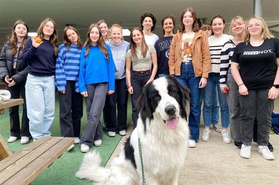 Leerlingen ondergedompeld in de wereld van de hond - Peer
