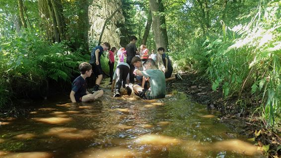 Leerlingen ontdekken de natuur aan de Abeek - Oudsbergen