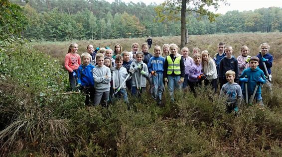 Leerlingen Pieter Brueghelschool beheren de heide - Peer