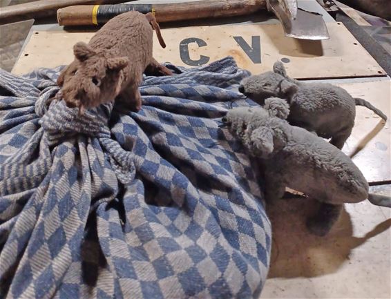Leerrijk bezoek aan Mijnmuseum Waterschei - Pelt