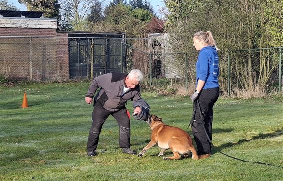 Leesplezier en dierenpret op De Robbert - Hamont-Achel