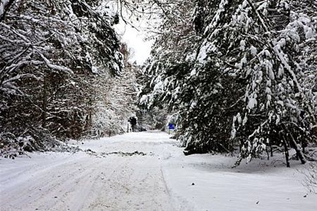 Leeuwerikstraat afgesloten - Neerpelt