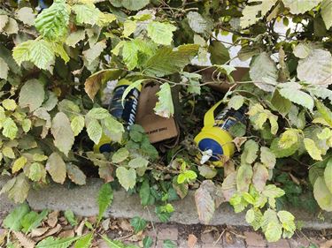 Lege lachgascontainers gedumpt - Pelt