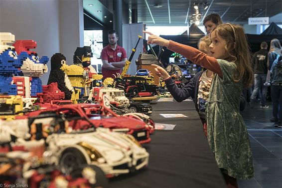 Legobeurs in Palethe - Pelt