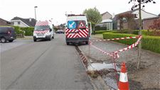 Lek in de Zilleweg - Lommel