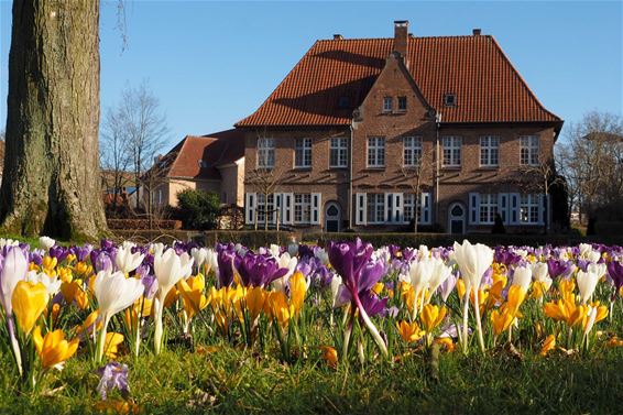 Lente in Beringen - Beringen