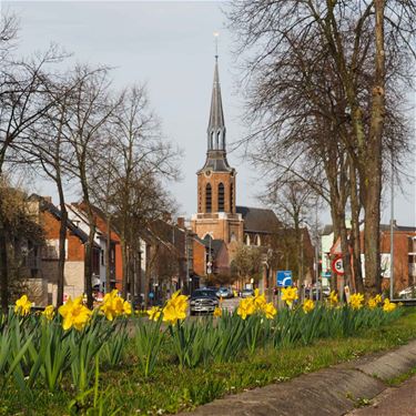 Lente in Beringen - Beringen