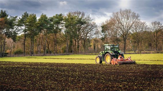 Lente in de lucht - Lommel